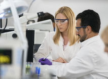 Farmaceutische Industrie