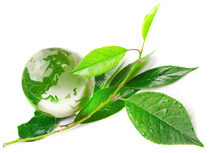 Maatschappelijk Verantwoord Ondernemen